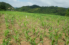 土壤与地下水生态环境改良修复-浙江中地净土科技有限公司