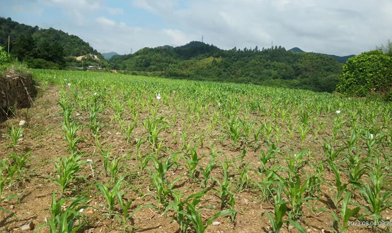 企业文化-浙江中地净土科技有限公司