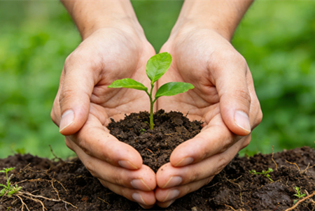 《全球土壤污染评估》报告-浙江中地净土科技有限公司