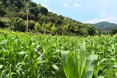  【政策资讯】国务院：关于开展第三次全国土壤普查的通知-浙江中地净土科技有限公司