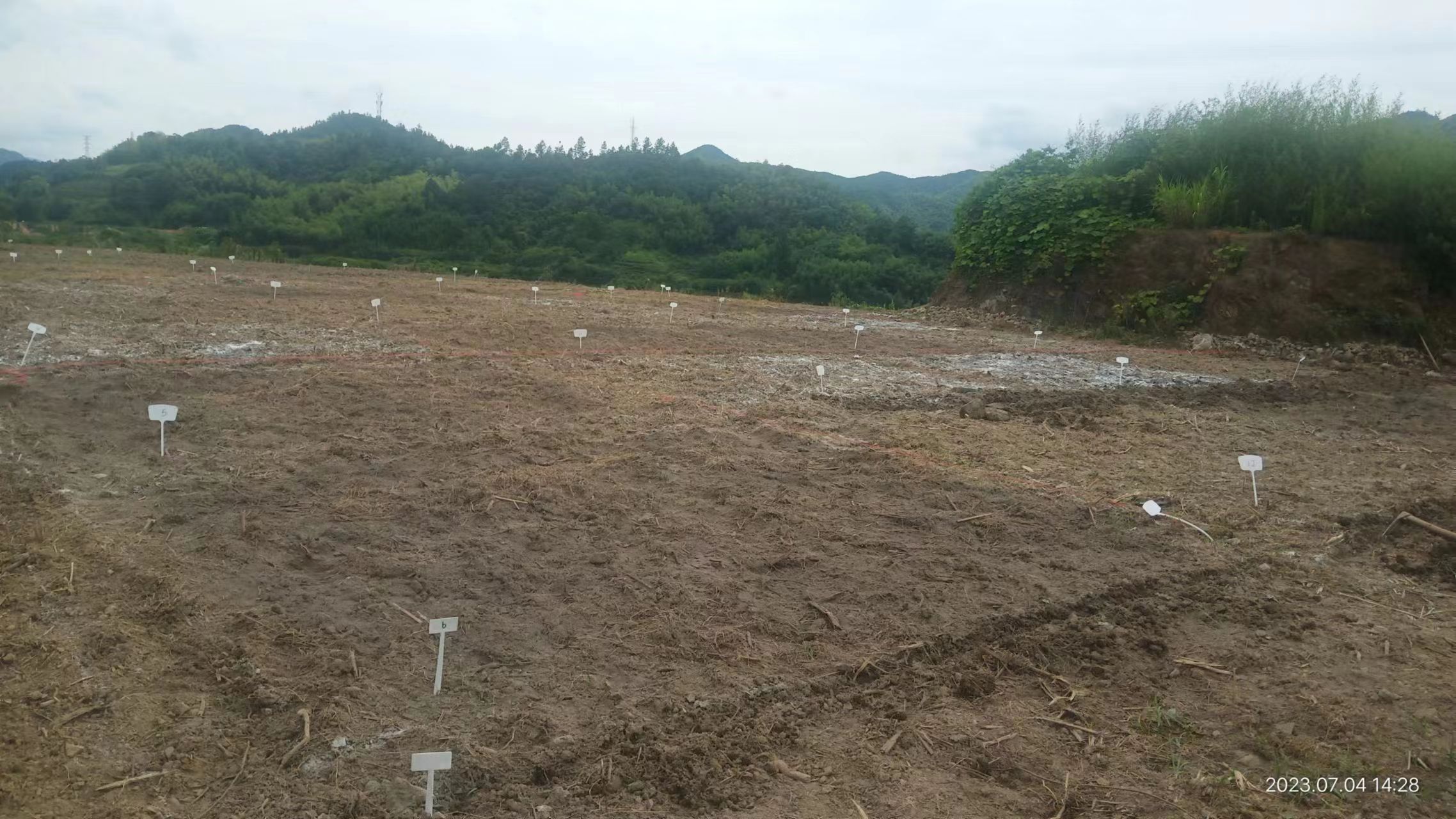 绍兴亿源再生资源回收有限公司原厂区地块土壤状况-浙江中地净土科技有限公司